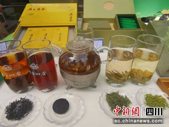 現(xiàn)場(chǎng)泡出來的茶。 王哲攝